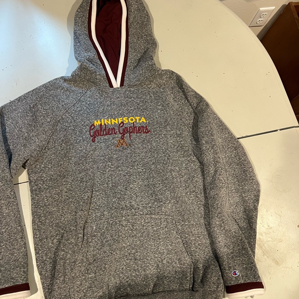 Champion Gray Minnesota Hoodie